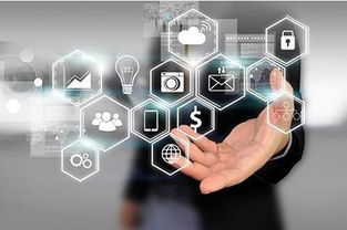 店火火營(yíng)銷(xiāo)新格局 網(wǎng)絡(luò)技術(shù)服務(wù)賦能實(shí)體商業(yè)